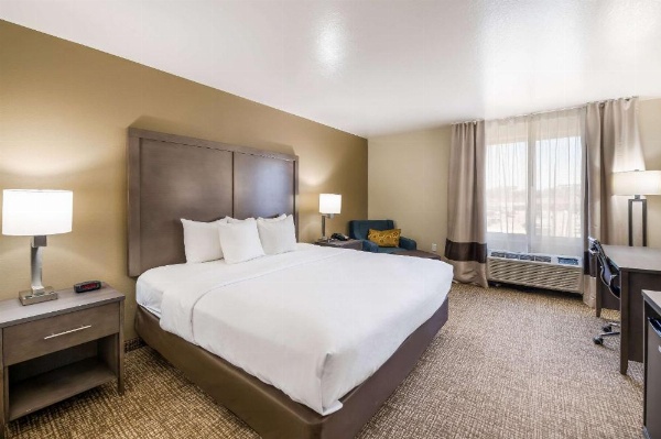 Comfort Inn image 9